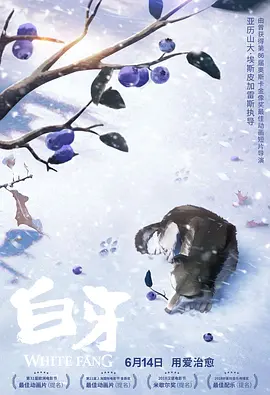 p站视频下载